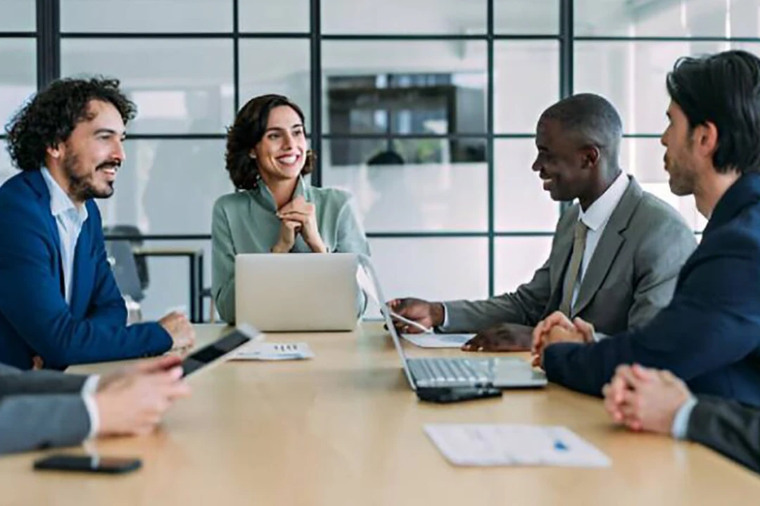 Professionals in a meeting